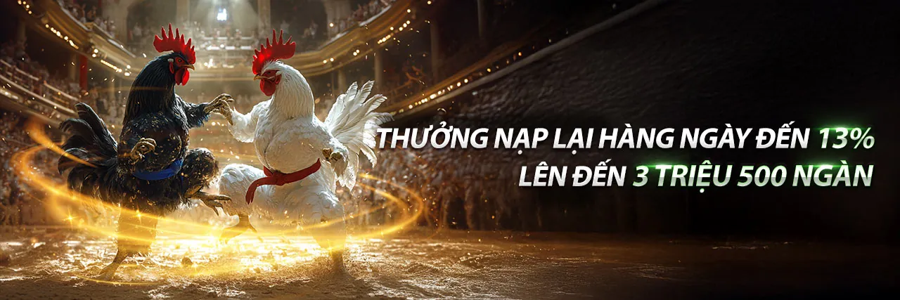 Hình ảnh chính King888 Vina
